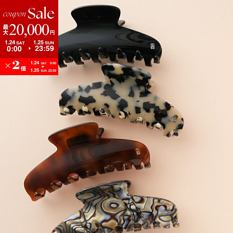 保証書付きALEXANDRE DE PARIS ヘアクリップ ALEXANDRE DE PARIS ヘアクリップ ボックス付き【新品未使用】