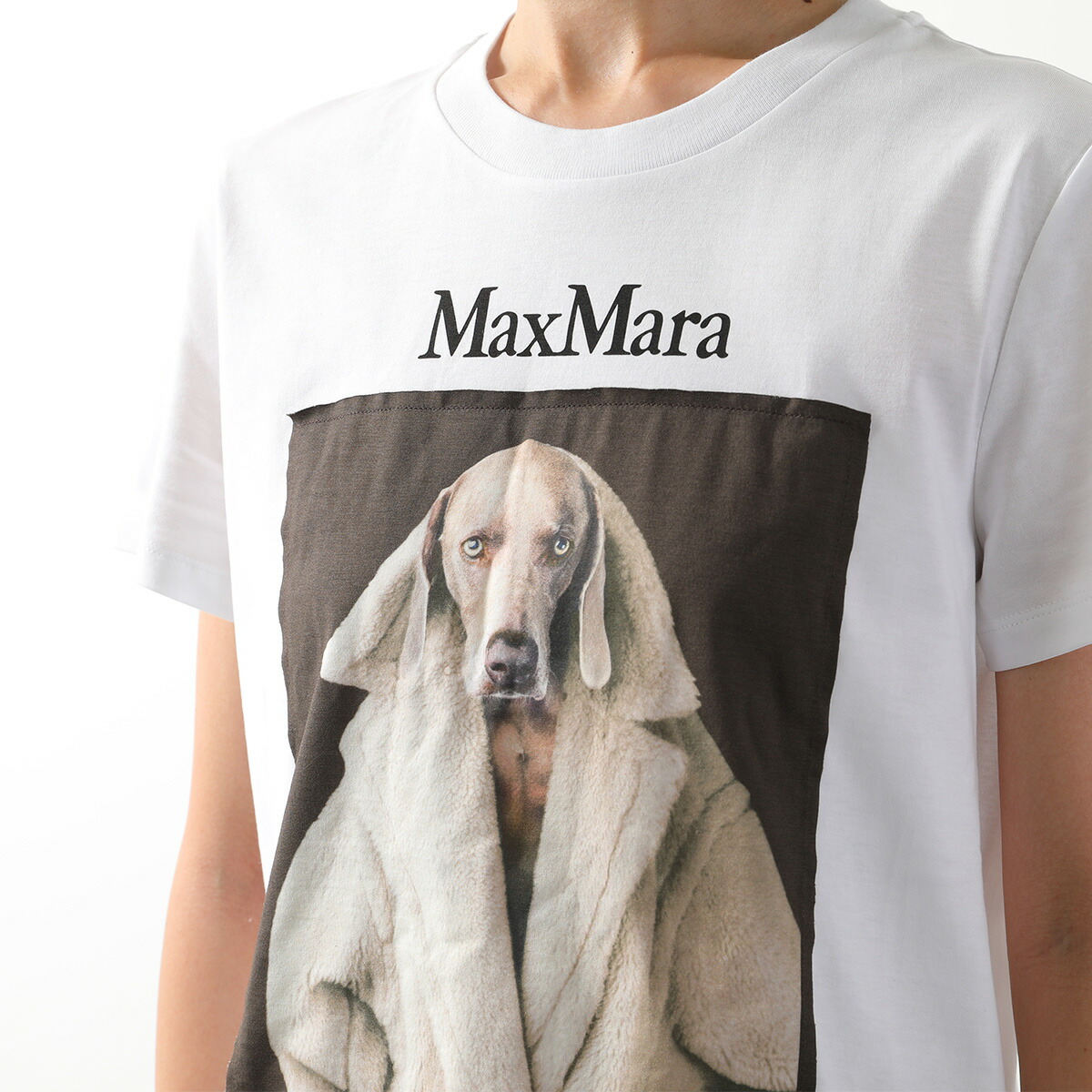 【MAXMARA】VALIDO 004 コットン 子犬ロゴ Tシャツ ★追跡可能★ 楽天市場】MAX MARA マックスマーラ 半袖 Tシャツ CIPRIA