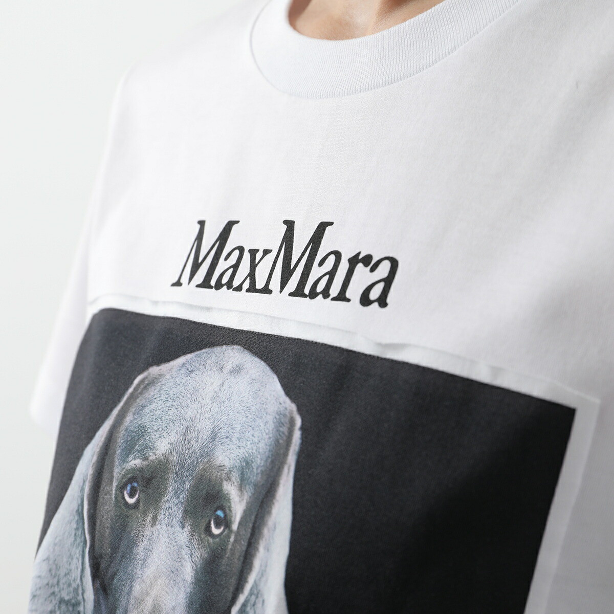 MAX MARA マックスマーラ 半袖 Tシャツ CIPRIA チプリア レディース 