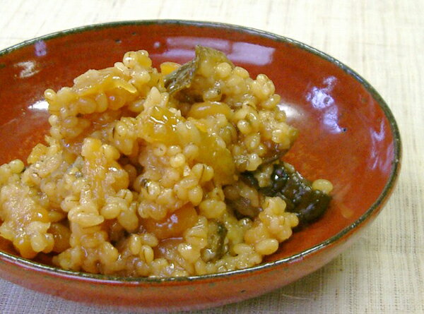 生麹金山寺こうじ800g生冷凍袋入り国産原料使用野菜と調味料があれば簡単に金山寺味噌が作れます大豆・大麦・米のミックス麹【丸新本家・湯浅醤油】