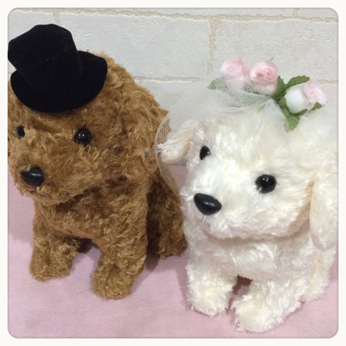 楽天市場 ウェディングドール トイプードル 犬 Wedding Doll 日本製 ウェルカムドール ウェディングぬいぐるみ ウェルカム ドッグ ウェディングドッグ ブライダル 結婚祝い いぬ イヌ Dog 楽ギフ メッセ入力 セレクトマルワ楽天市場店