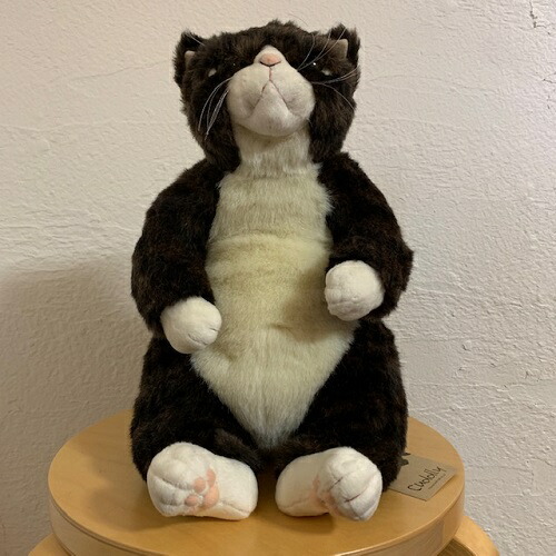 楽天市場】猫 ぬいぐるみ 金之助 Cuddly カドリー 猫グッズ 猫雑貨
