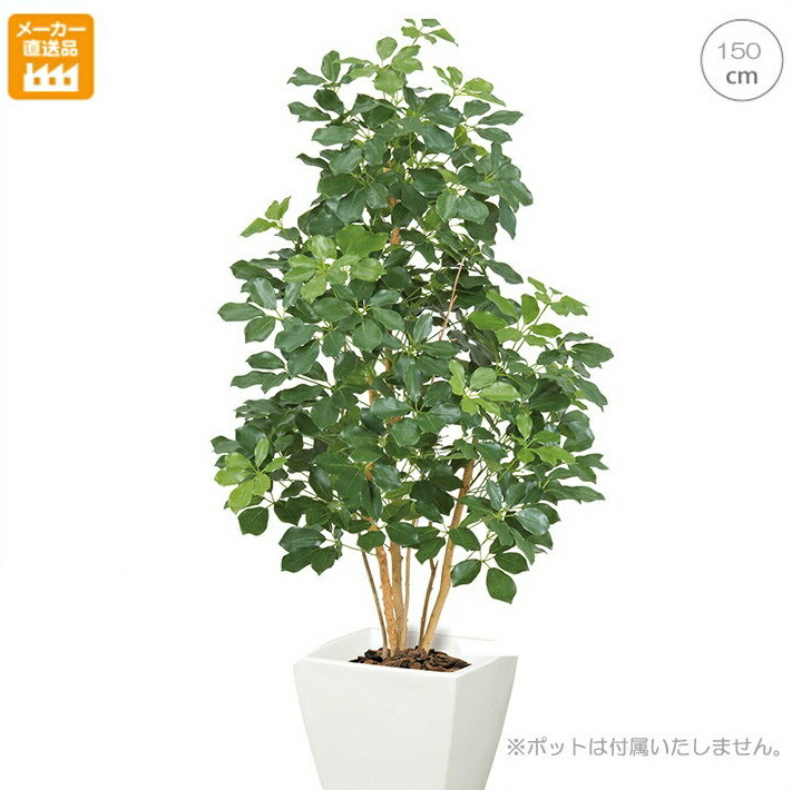 観葉植物 大型 造花 Msd28ng 150cmプレミアムカポックツリー M フェイクグリーン モダン インテリア Interior 南国 リゾート 店舗 オフィス装飾 送料無料 Painfreepainrelief Com