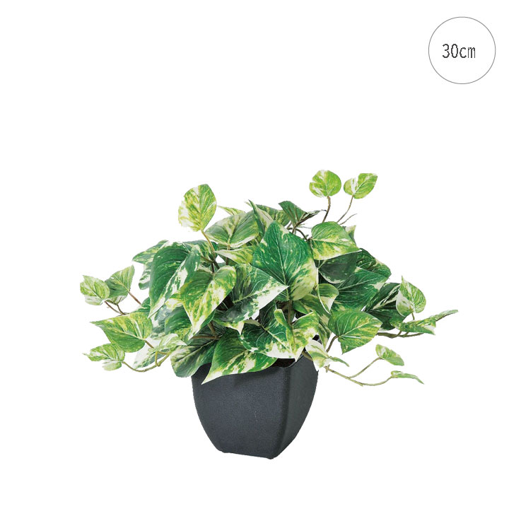 楽天市場】人工観葉植物ポトス壁掛け触媒加工送料無料全長78cm