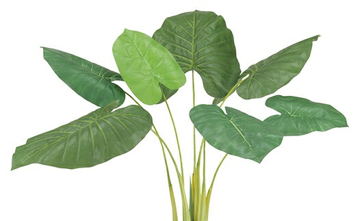観葉植物 造花 クワズイモ L 170cm フェイクグリーン 店舗 ロビー 大型 インテリア 観葉植物 モダン Interior 送料無料 Msd34bt Painfreepainrelief Com