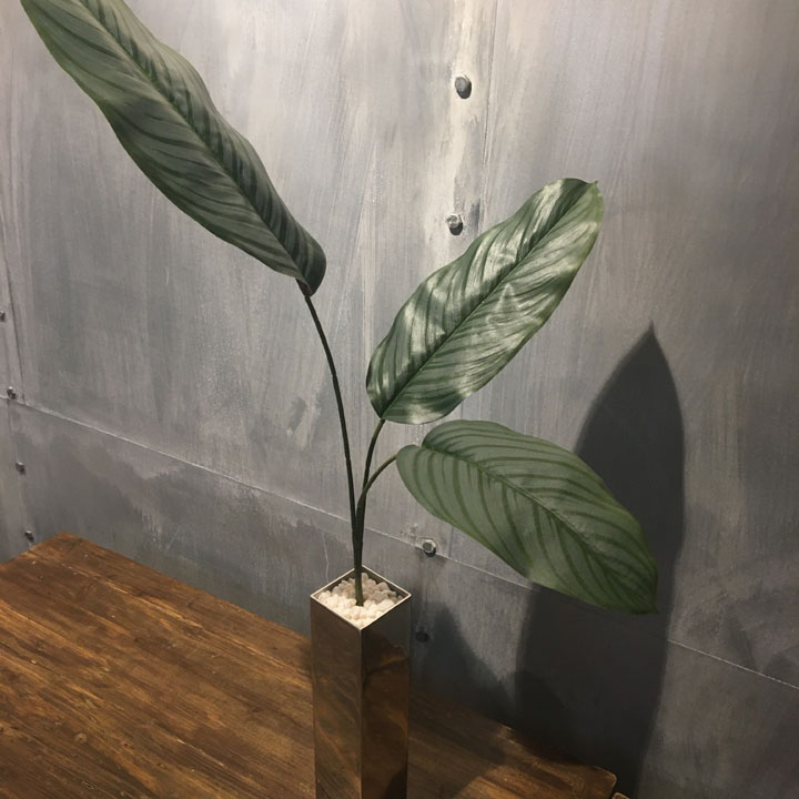 大型 花 観葉植物 インテリア 人工 消臭 カフェ インダストリアル 観葉植物 無光触媒 除菌 モダン カフェ 枝 光触媒 観葉植物 造花 シンプルカラテア インテリア 枝 シンプル カフェ 南国 観葉植物 消臭 除菌 光触媒 無光触媒 観葉植物 モダン 大型 造花 黒い 人工