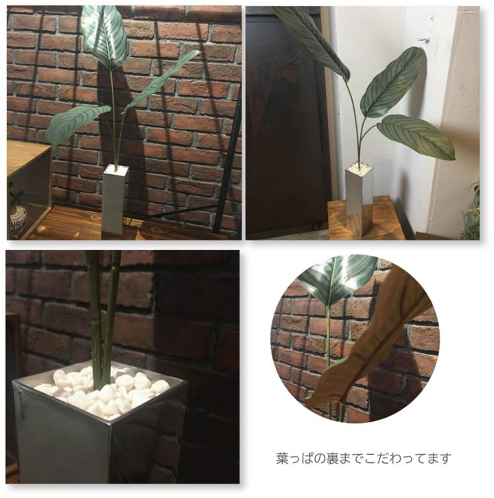 大型 花 観葉植物 インテリア 人工 消臭 カフェ インダストリアル 観葉植物 無光触媒 除菌 モダン カフェ 枝 光触媒 観葉植物 造花 シンプルカラテア インテリア 枝 シンプル カフェ 南国 観葉植物 消臭 除菌 光触媒 無光触媒 観葉植物 モダン 大型 造花 黒い 人工