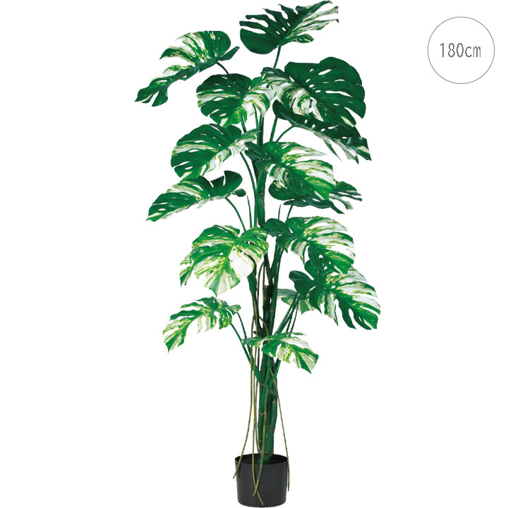 モンステラツリー(高さ180ｃｍ) （斑入り）グリーン 観葉植物 造花 リアル タヒチ 南国 大型 インテリア 人工 フェイク 模様替え おしゃれ モダン シンプル 店舗 ディスプレイ カフェ インダストリアル 倉庫 レンガ