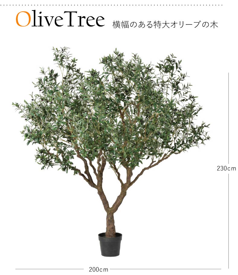 観葉植物 造花 数さ230cmオリーブツリー 大型 観葉植物 造花 タヒチ 南国 夏期 観葉植物 大型 調度品 人工 偽造品 化粧置換 きりっとした 近代的 赤条条 商店 開示 コーヒーショップ インダストリアル 商店 オリーブ モダン 観葉植物 超大型 インテリア 人工観葉植物 超