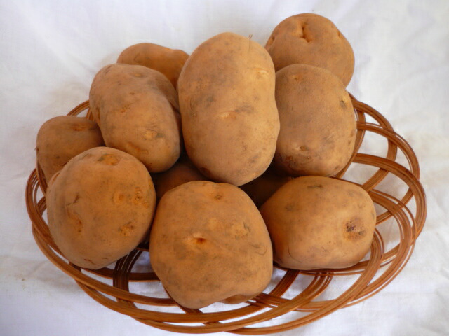 auc-matinoyaoya | 日本乐天市场: 北海道美幌生产新货种过冬土豆雪