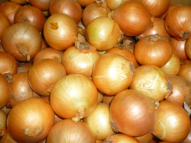 auc-matinoyaoya | 日本乐天市场: 北海道小洋葱使用全尺寸方便 s