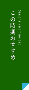 新発売