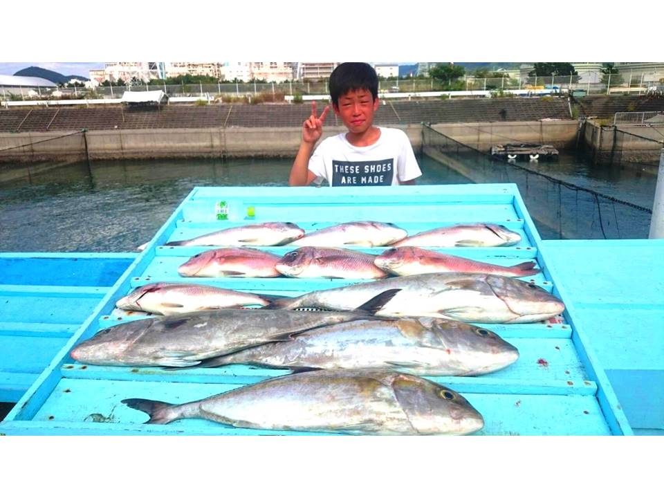 楽天市場 釣り餌 つりえさ 赤青一撃 だんご 釣り堀 最強餌 鯛 シマアジ カンパチ ハマチ メジロ ワラサ マルゴ ブリ グレ 青物 爆釣 赤青一撃だんごエサ 釣れる 釣りエサ 海上釣堀 餌 釣りエサ 釣り堀 Light 釣り餌最強 天然にも有効 Mto