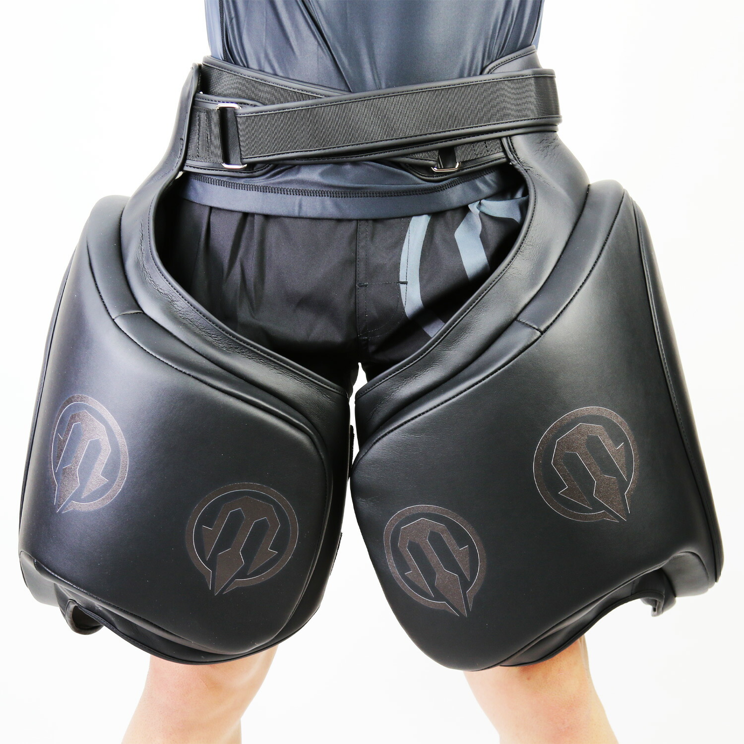 楽天市場】【送料無料】フェアテックス Fairtex ローキックパッド TP3