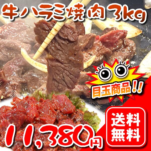 703様　ハラミ　2キロ 楽天市場】【ふるさと納税】 厚切り牛ハラミ 2kg（500g×4パック