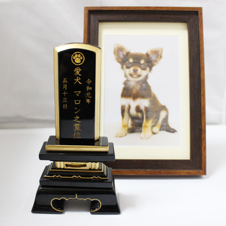 割引購入 ペット 位牌 黒塗り 春日 2 5寸 イラスト入 本位牌 お位牌ペット仏具 かわいい 犬 猫 メモリアル ペット供養 49日 四十九日 ペットロス 名入れ 刻印サービスつき 送料無料 Whitesforracialequity Org