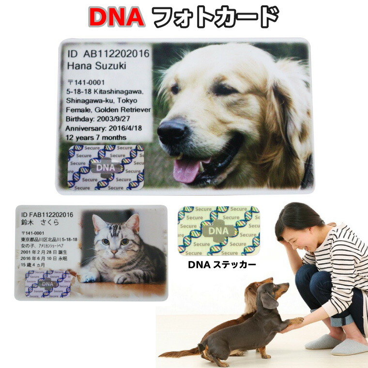 限定製作 ペット Dna保存 メモリアル フォトカード Dna Stock Assist ホログラム フルカラープリント 記念品 誕生日記念 表彰 ギフト プレゼント メモリアル 思い出 楽天市場 Www World Of Heating De