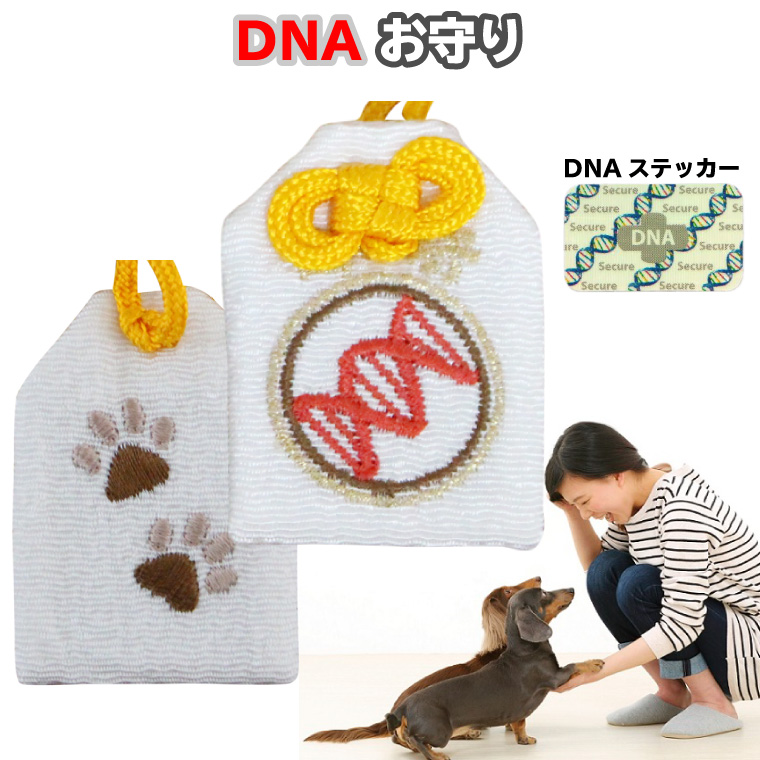 楽天市場】ペット メモリアルグッズ クリスタル モニュメント DNA