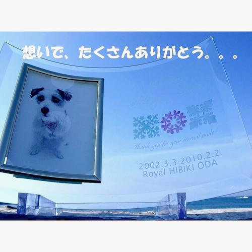 【 位牌 】クリスタル位牌 メモリアルフォトフレームスタンド 「 ハワイの風 」 遺影 モダン位牌 モダン仏具 犬 猫 ペット供養 刻印サービスつき 送料無料