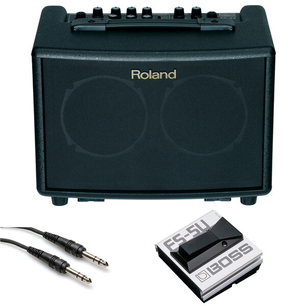 【フットスイッチFS-5Uセット】 Roland(ローランド) / AC-33 - ギターアンプ アコースティック - 「接続ケーブル付属!」夏休スペシャル
