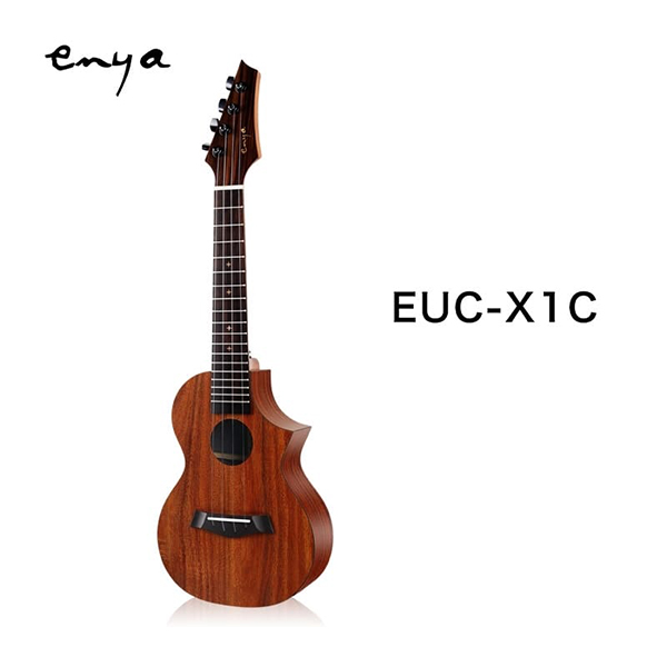 Enya エンヤ ウクレレ Eu Series Euc X1c コンサート Natboardmcqs Com