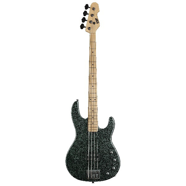 ESP(イーエスピー) / AP　M/BKS　Black Satin Hard Maple FB - エレキベース