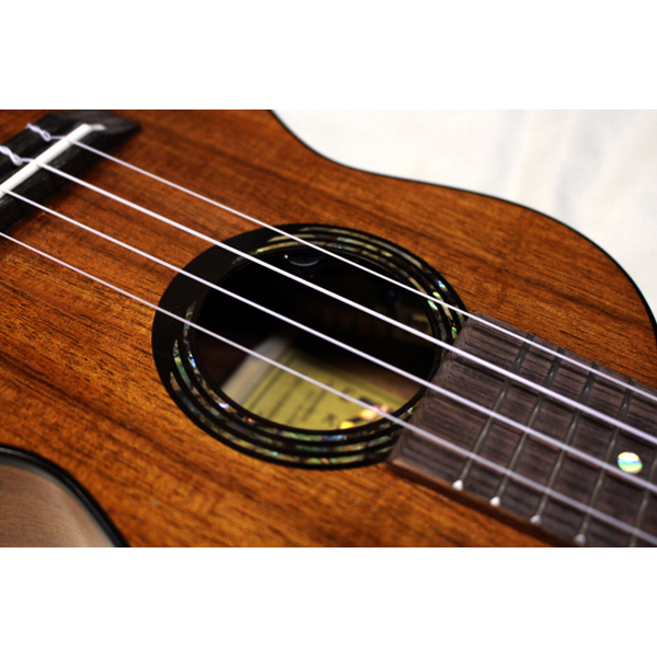 新品 KUMU(クム) UKULELE ピックアップ付き CM-54A コンサートウクレレ