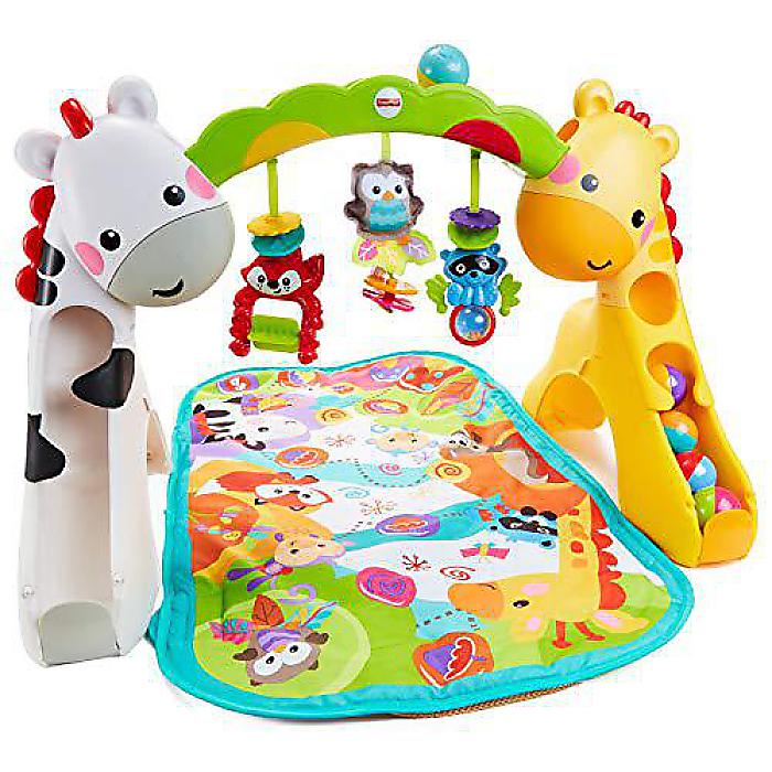 Fisher-Price もの言う花 ニューボーンからトドラー向け プレイジム 笛竹\u0026ともし火付夏休特別