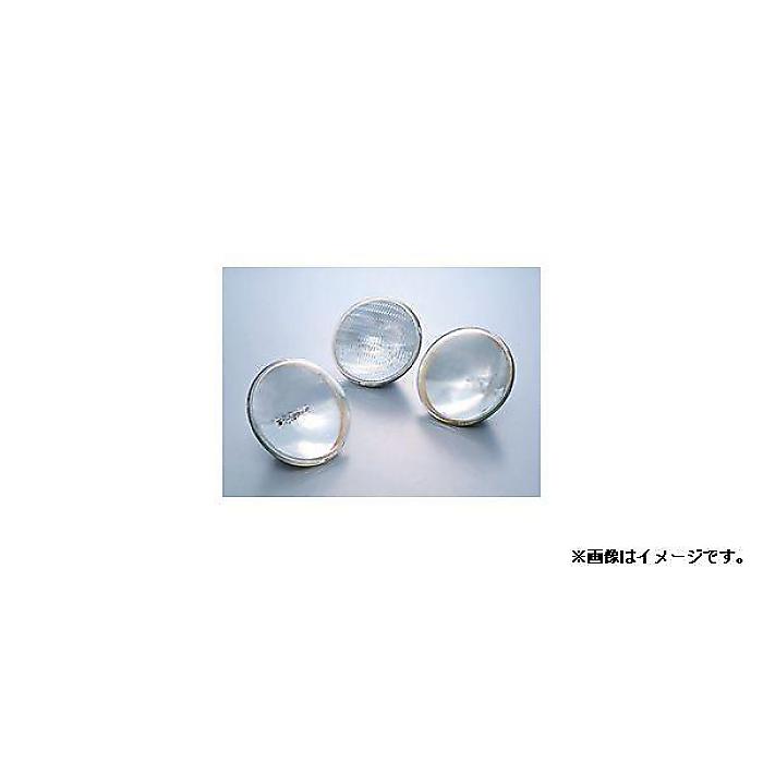 USHIO ( ウシオ )  / JP100V500WCT/VN/S6/E夏休特別