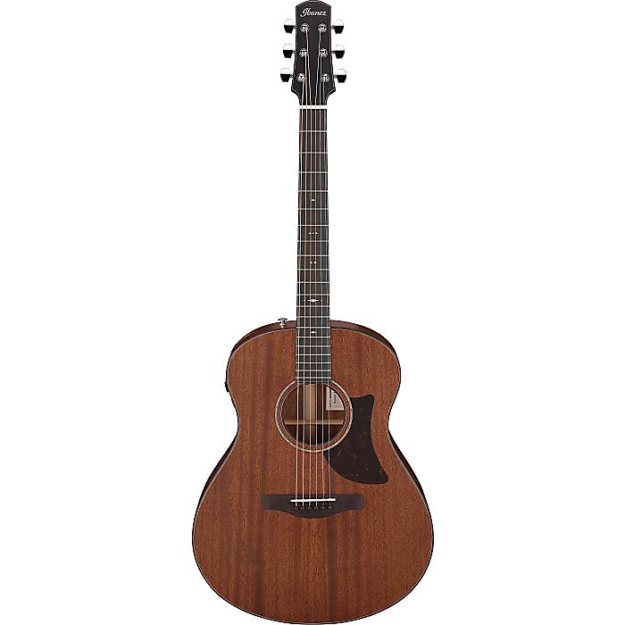 Ibanez(アイバニーズ) / AAM740E-LG (AAMシリーズ) - アコースティックギター - ［専用ハードシェルケース付属］【受注生産/納期:約6ヶ月】新生活応援
