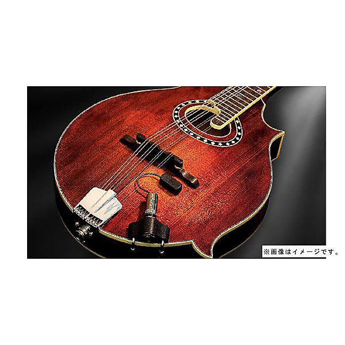 【楽天市場】L.R.Baggs ( エルアールバックス ) / Radius Mandolin Pickup夏休スペシャル：ミュージックハウス ...