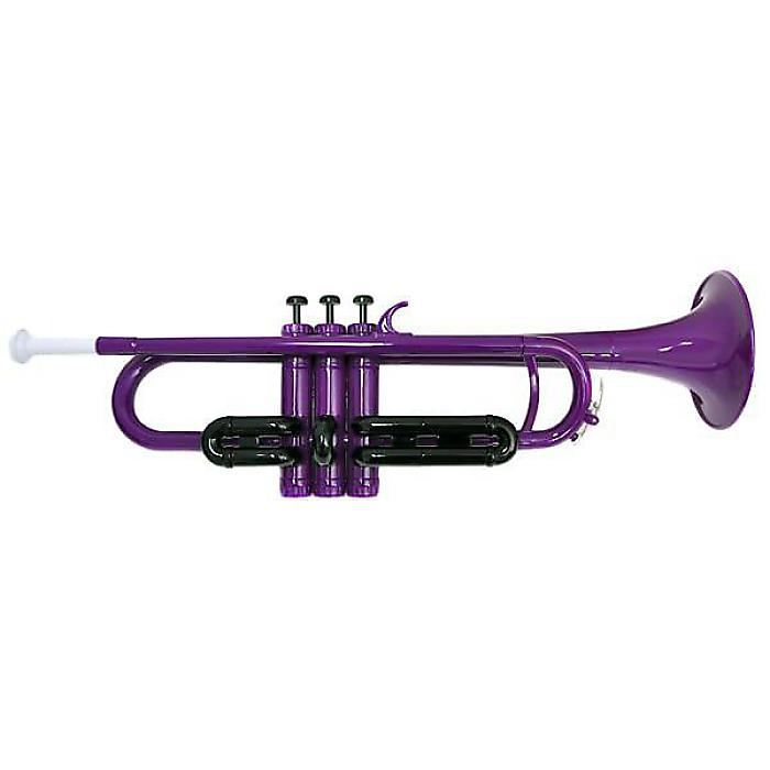 楽天市場】PLAYTECH（プレイテック） PTTR100GR プラスチック