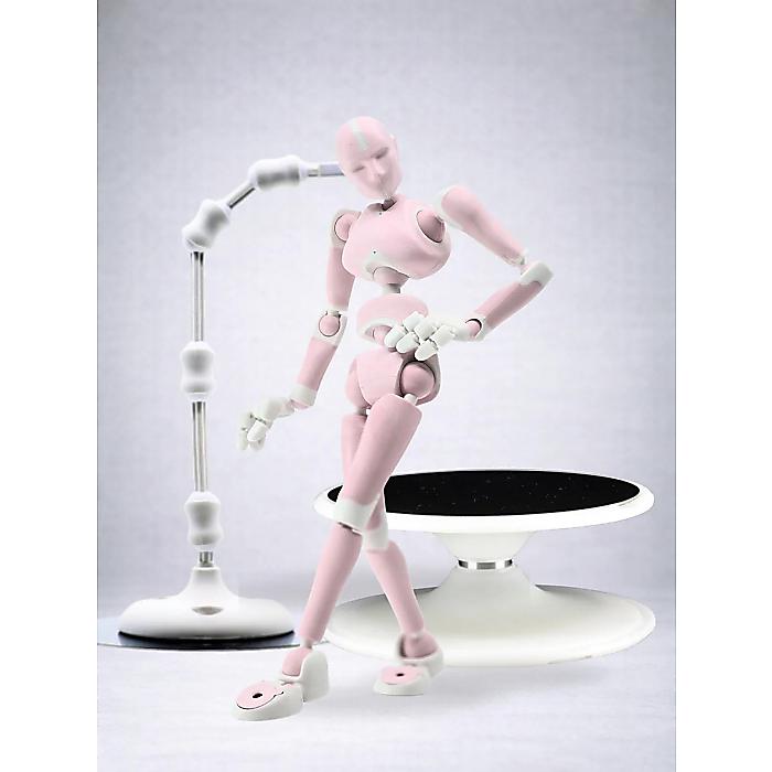 Stickybones(スティッキーボーンズ) / Rose Quartz Stickybones + Fly-Rig + Posenado Bundle 制限事項色合い ローズクォーツ モビール式気障っぽさ図形 フライリグ ポゼネード属する 下がき真似形新遣って行く勇気付ける