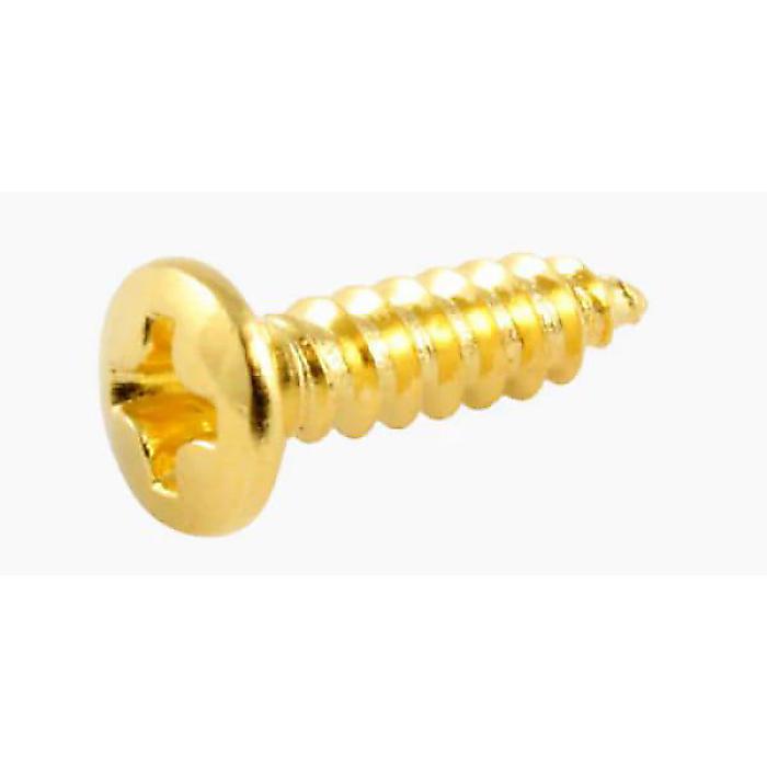 ALLPARTS ( オールパーツ ) / GS-0001-B02 Bulk Pack of 100 Gold Pickguard Screws夏休スペシャル