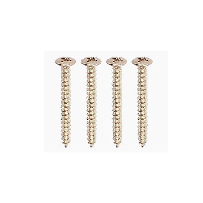 ALLPARTS ( オールパーツ ) / GS-0005-B01 Bulk Pack of 50 Nickel Neckplate Screws夏休スペシャル|ミュージックハウス フレンズ