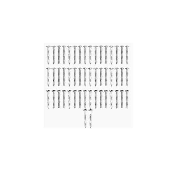 ALLPARTS ( オールパーツ ) / GS-0005-B10 Bulk Pack of 50 Chrome Neckplate Screws夏休スペシャル|ミュージックハウス フレンズ
