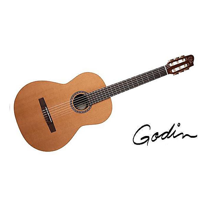 GODIN GUITAR ( ゴダンギター ) / COLLECTION夏休みセール