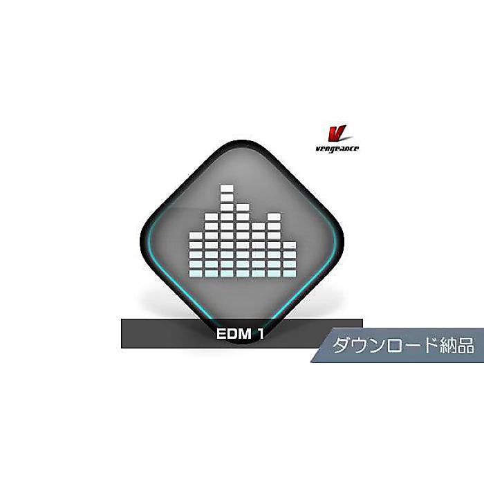 VENGEANCE SOUND ( ベンジェンスサウンド ) / EDM 1 ダウンロード納品夏休みセール