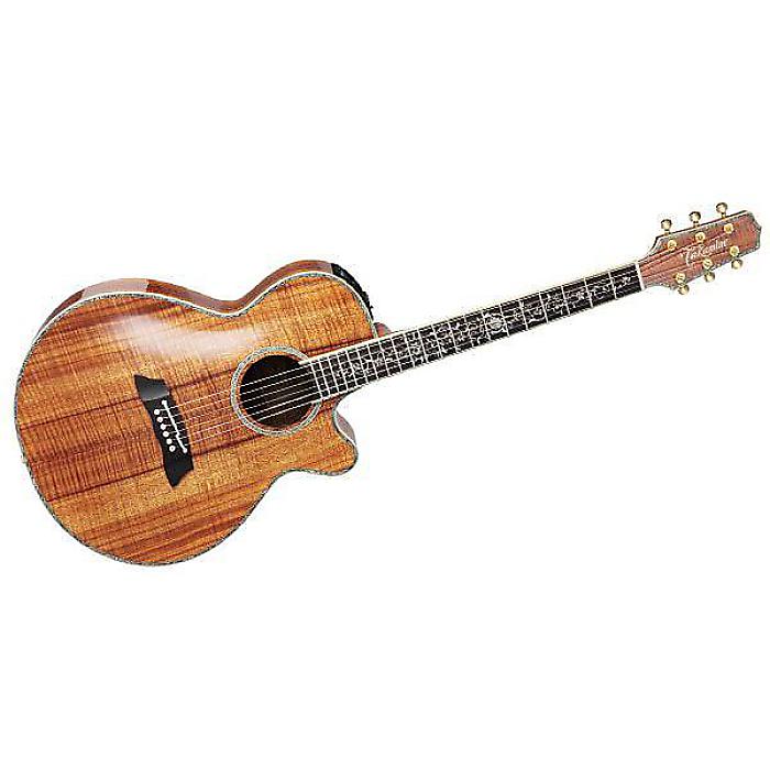 TAKAMINE ( タカミネ ) / DMP100K N夏休みセール 236,489円