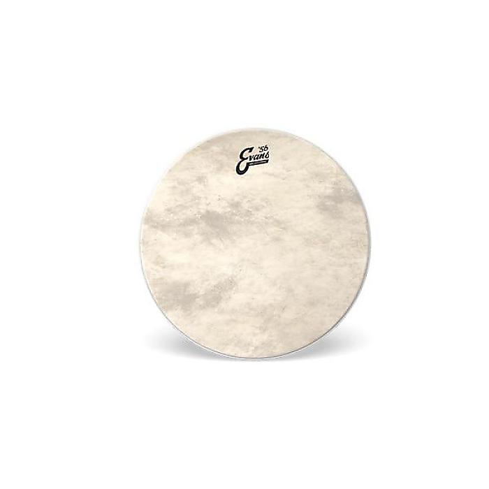 EVANS ( エバンス ) / BD22GB4CT　EQ4 カーフトーン 22インチ夏休スペシャル
