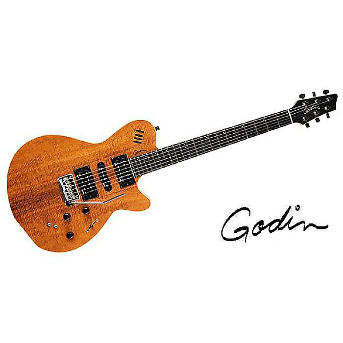 楽天市場】GODIN GUITAR ( ゴダンギター ) / Radium-X Rustic Burst SG