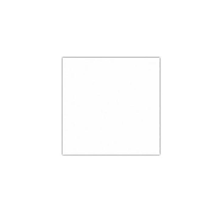ALLPARTS ( オールパーツ ) / PG-0107-025 White Adhesive Pickguard Blank夏休スペシャル