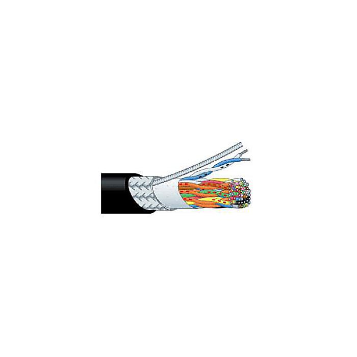 CANARE ( カナレ )  / D202A-4P-EM 100m夏休特別