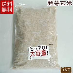 【送料無料】<BR>発芽玄米『遠野の便り』業務用5kg<BR> 【送料込み】【0501_free_f】02P03Sep16<br>(※沖縄・離島・一部地域は送料無料の適応外）