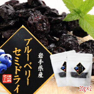 新しく着き 1000円ポッキリ ブルーベリーセミドライ20g×2袋 送料無料 岩手県遠野市産ブルーベリー使用 農薬不使用 犬などのおやつにも 岩手県産 ペット ドライフルーツは農薬不使用でノンオイルをどうぞ 砂糖不使用そのまま半乾燥 【ご予約品】