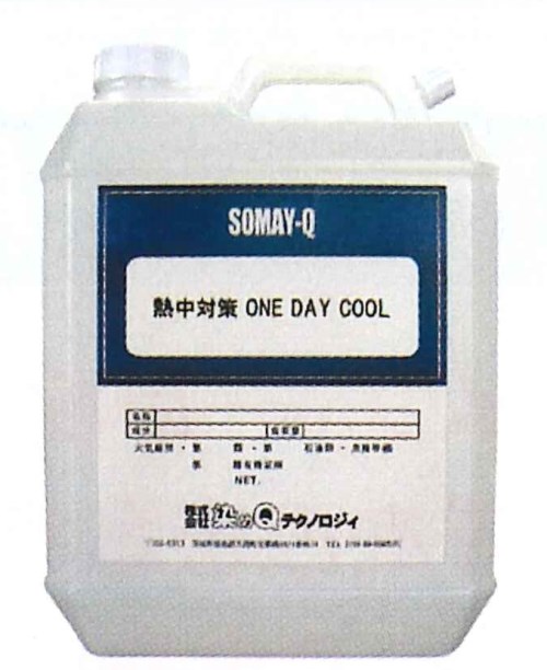 【一心不乱症打つ手】冷やりとしたの何でか？詰替用3.7L＜N13-20＞【止めること 塩 経口避妊薬 安全帽 飴 梅 塩飴 砂糖菓子 グッズ 内燃機関御徒面子 運動競技水もの ドリンク キッズ 通信販売 】
