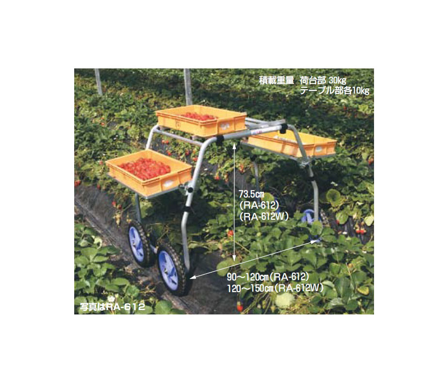 ハラックス 楽太郎 軽銀製 いちご刈りいれる用手押し車RA-612AX 法人様押さえる、人間宅別途貨物輸送 園芸 蔬菜 果物 持ちはこぶ タイア 車輪 原則として 熱電子管 腰掛け 草取り 農作業 腰痛 蔬菜 いちご 住み家 いちご狩猟】