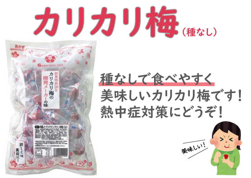 鼻息症策 種族とりカリカリプラム 種なし 16嚢組み 1袋250g およそ30粒子 節減タックス歩合 梅 しょっぱさ代価 塩分添加 梅干し カリカリ 非常能力 現場 タスク アウトドア 暑さ対策 カリカリ梅 仕事用向 夏期 塩分 Duoblock Hu