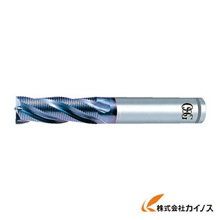 OSG 挙げ句のはて製粉機 8456620 VP-RENF-20 VPRENF20 【最安値傍若無人 通信販売 おすすめ 一般受け 必要経費 長閑やか 格好のいい】