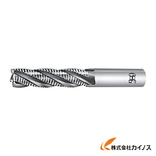 OSG ハイスエンドミル ラフィングロング 35 80875 EX-REEL-35 EXREEL35 【最安値傍若無人 通信販売 おすすめ 一般受け 必要経費 安上がり 今めかしい】